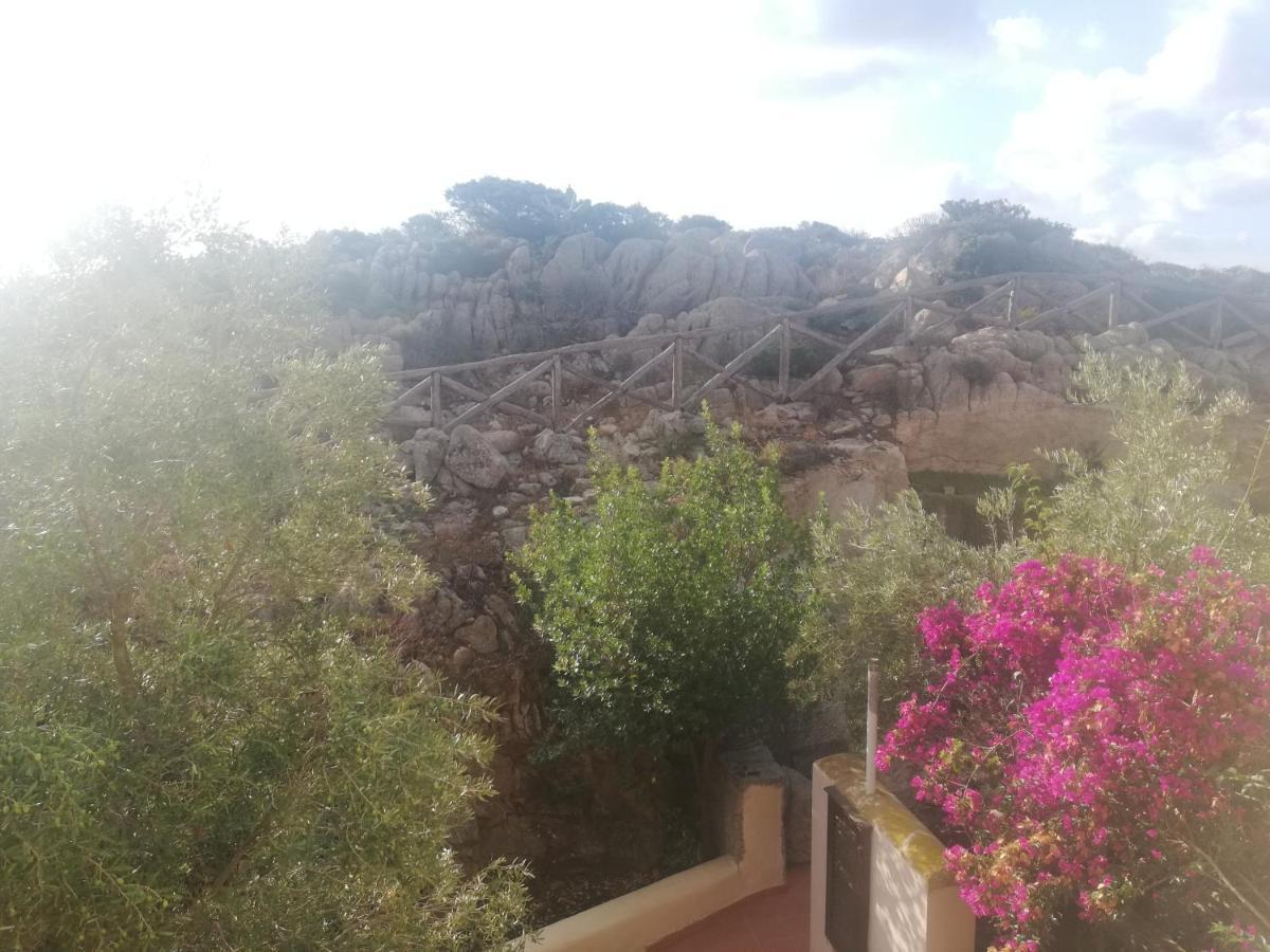 شقة Oasiglo لا ماداّلينا المظهر الخارجي الصورة