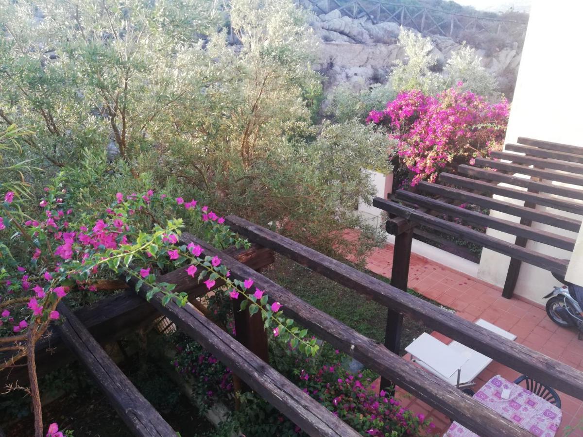 شقة Oasiglo لا ماداّلينا المظهر الخارجي الصورة